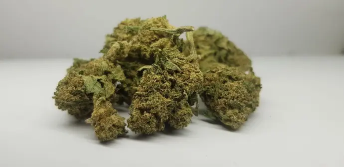 Candy Kush