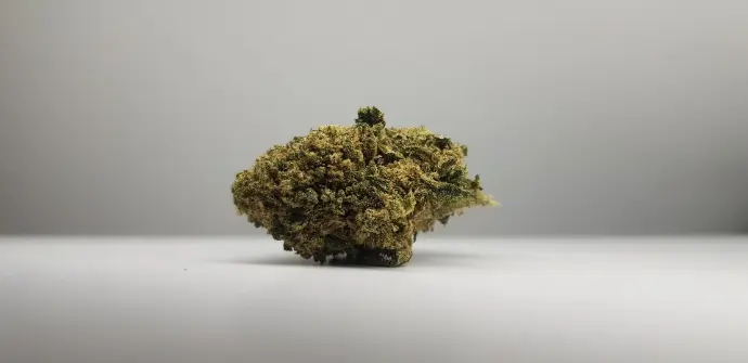 Cannatonic