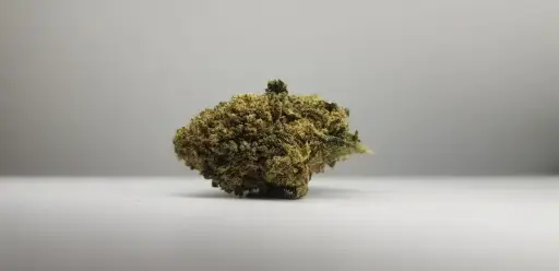 Cannatonic