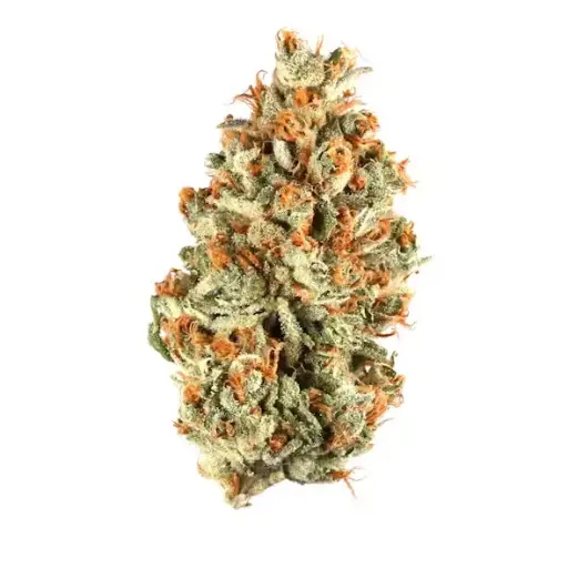 American Berry 