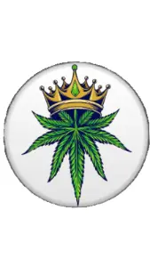 cbdfr